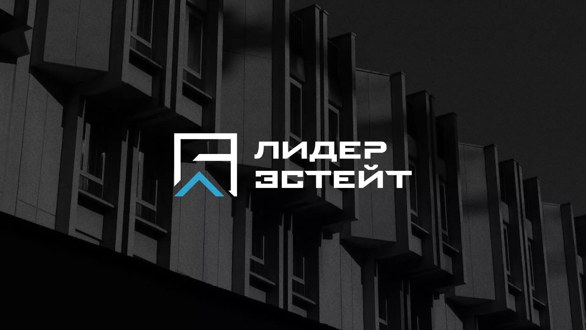 Разработка логотипа агентства недвижимости «Лидер Эстейт» в Апшеронске